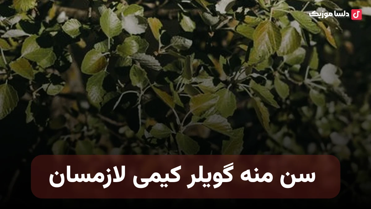  سن منه گویلر کیمی لازمسان ترکی